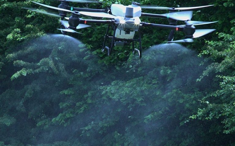 Drohne sprüht vor Wald