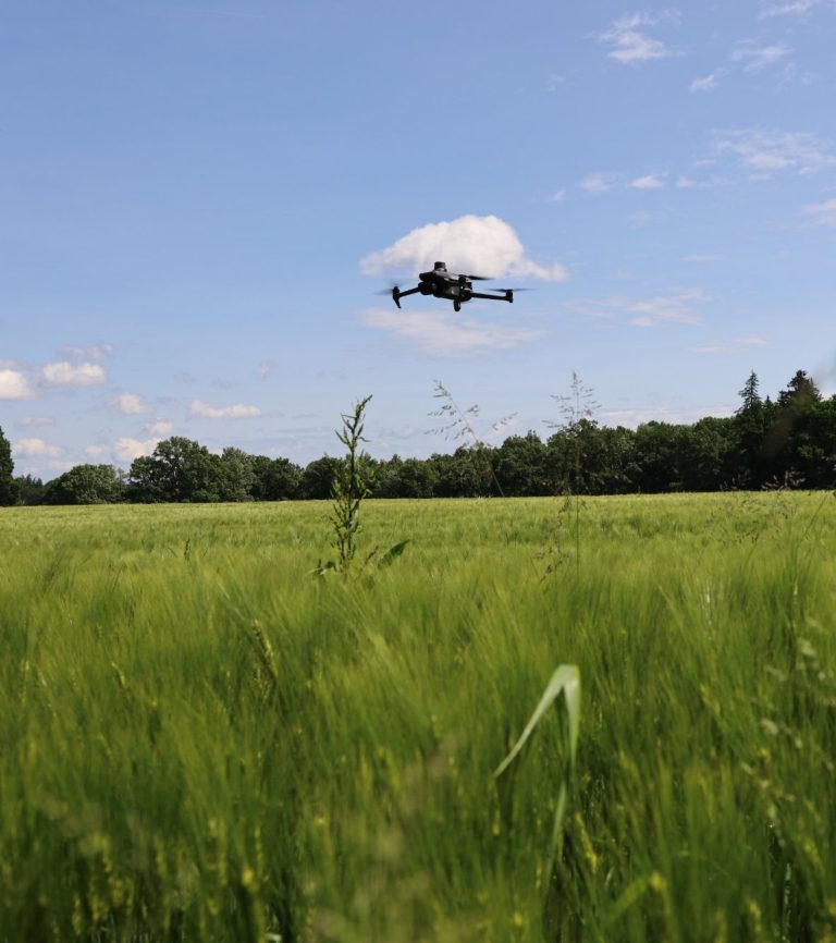 Drohne schwebt über Feld