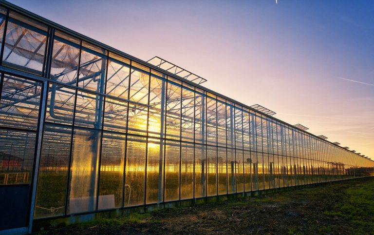 Gewächshaus im Sonnenuntergang