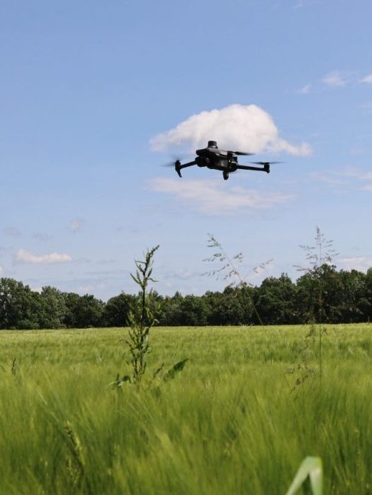 Drohne schwebt über Feld